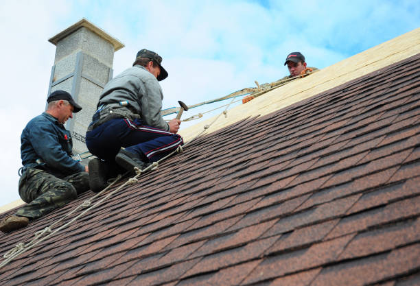 Quick and Trustworthy Emergency Roof Repair Services in Trafford, PA