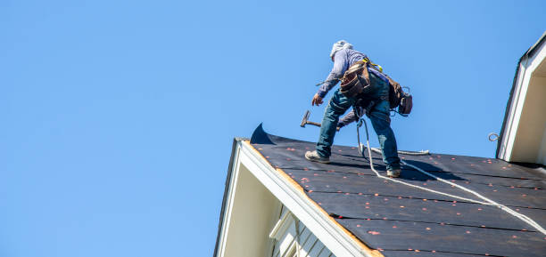 Best Storm Damage Roof Repair  in Trafford, PA